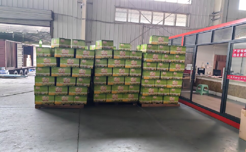 蘇州到隆昌物流專線